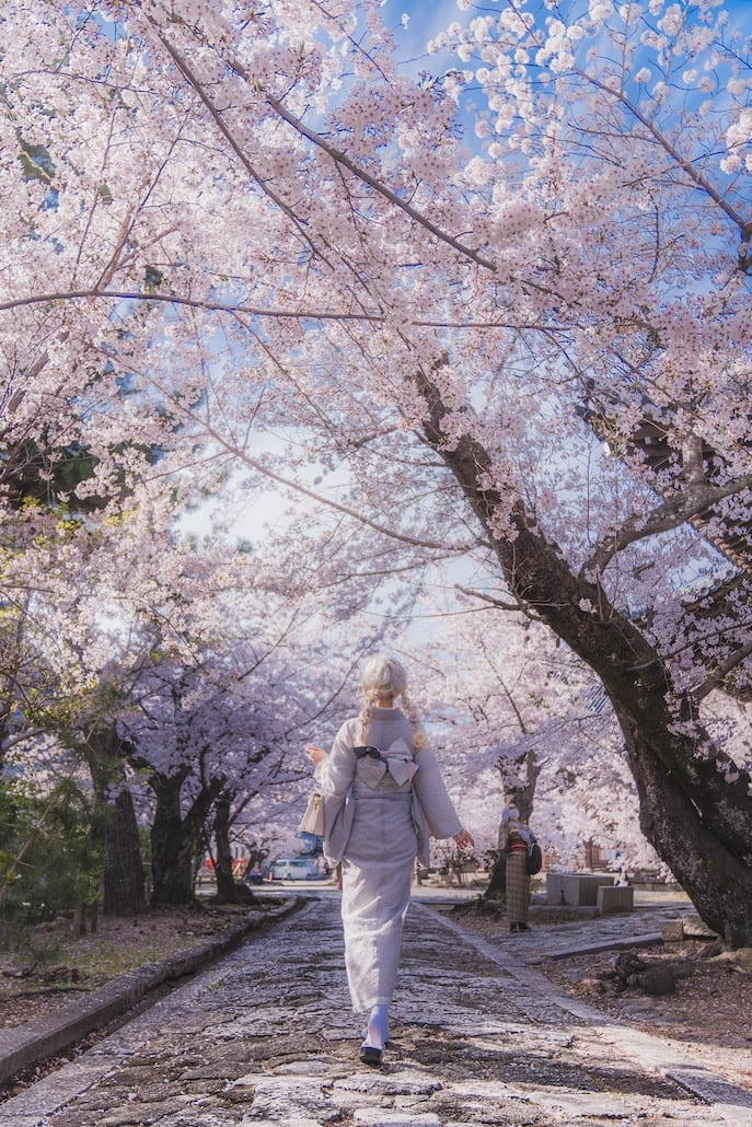 桜の着物姿の女性　春はむしろ着物を着よう　お出かけにおすすめの着物コーディネート
