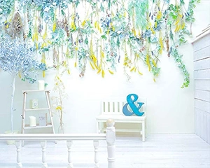 【11,000円~振袖撮影プラン/15,400円~持込振袖撮影プラン】オシャレなスタジオをご紹介 シーン1 |2024年・2025年 成人必見のたちばな公式・成人式 振袖キャンペーン|成人式に出ない方必見のお得な撮影プラン♪写真もデータも1枚から追加購入OK!もちろんアルバムもご用意しております!嬉しい特典:平日ドレスへのお着替え無料、家族写真の撮影が無料|たちばな公式