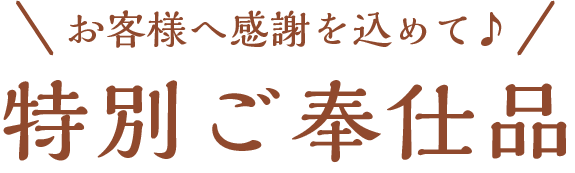 特別ご奉仕品　webdm用　バナー